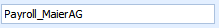 4. Datenbankname
