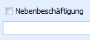 7. Nebenbeschäftigung