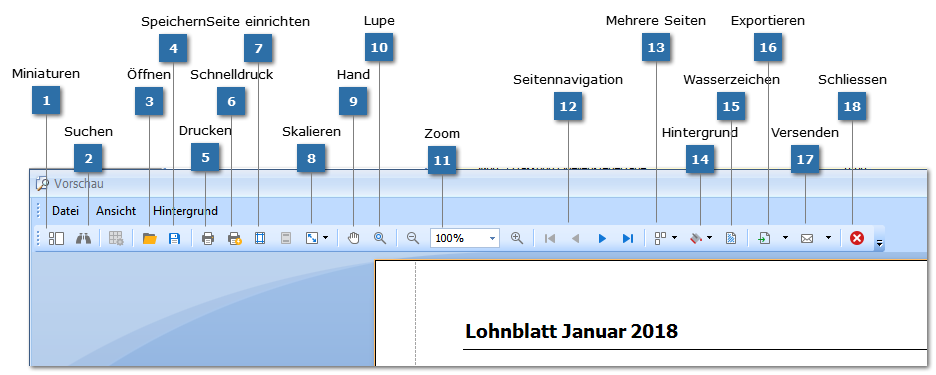 Werkzeugleiste Reportfenster
