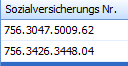 2. Sozialversicherungsnr.