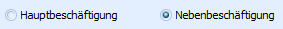 8. Haupt-/ Nebenbeschäftigung