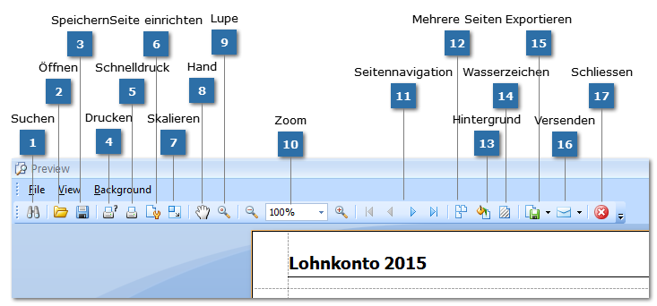 Werkzeugleiste Reportfenster